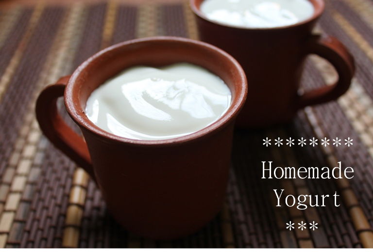 Homemade Curd / Homemade Yogurt (Yoghurt) / How to make Thair (Curd) / Dahi 